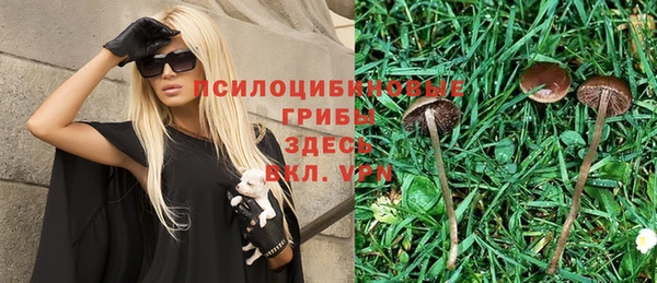 mix Алексин