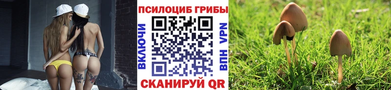 Галлюциногенные грибы MAGIC MUSHROOMS  Краснознаменск 